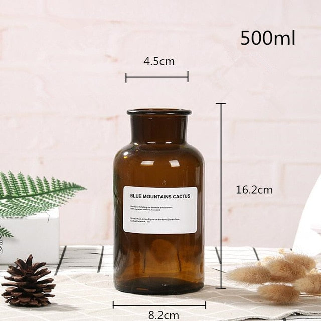 Lisslune | Glass Bottle Vase