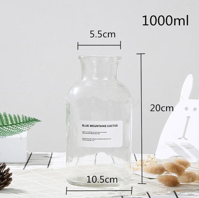 Lisslune | Glass Bottle Vase