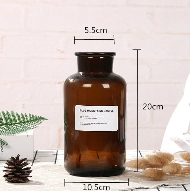 Lisslune | Glass Bottle Vase