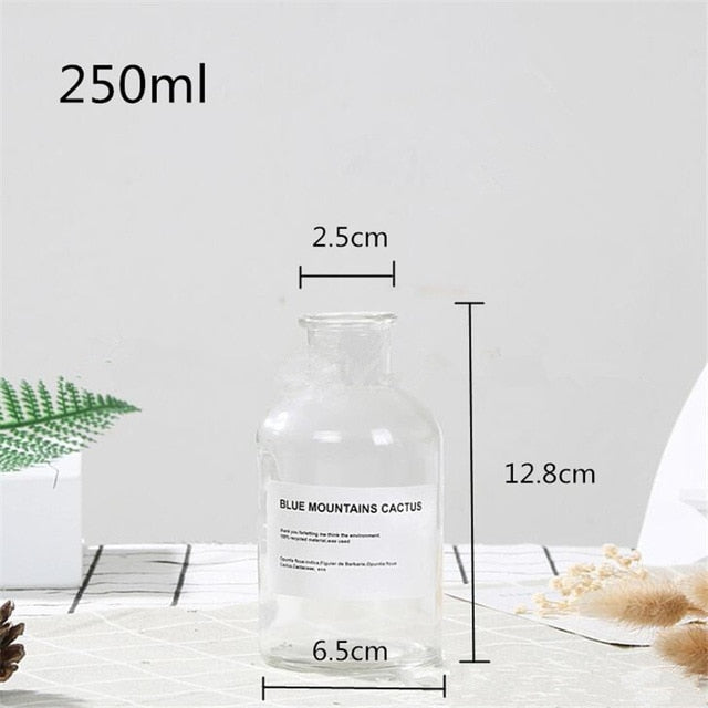 Lisslune | Glass Bottle Vase