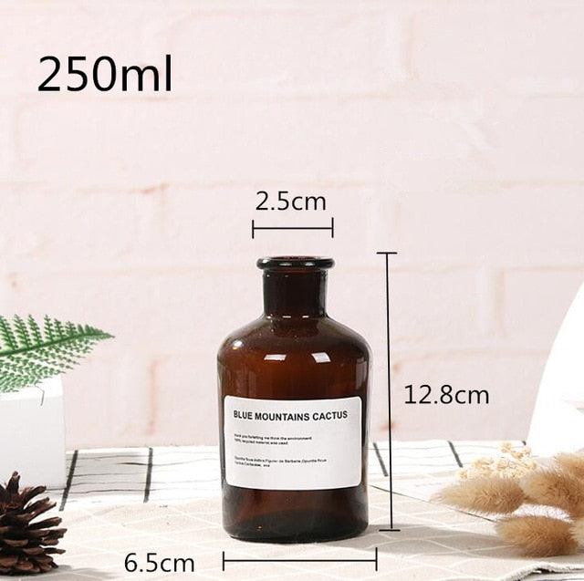 Lisslune | Glass Bottle Vase