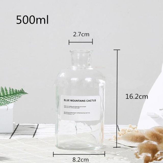 Lisslune | Glass Bottle Vase