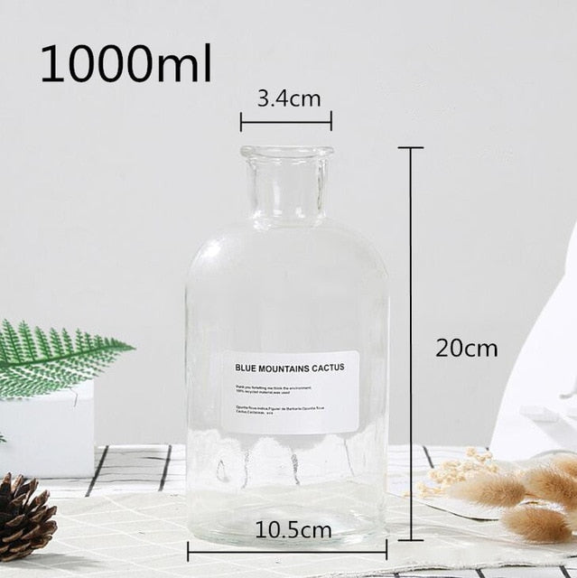 Lisslune | Glass Bottle Vase