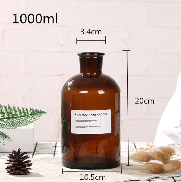Lisslune | Glass Bottle Vase