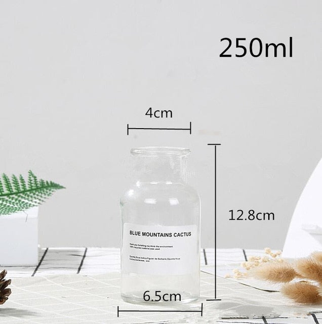 Lisslune | Glass Bottle Vase