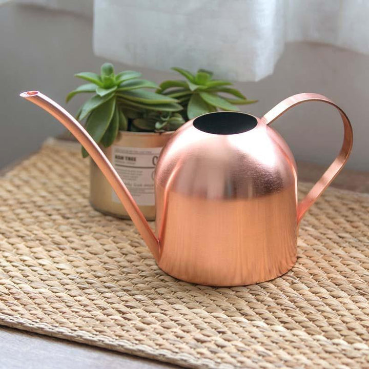 Lisslune | AquaGrace Stainless Steel Watering Can with Flexible Neck | Modern Design | Perfect Watering | Rustproof