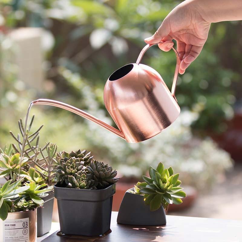 Lisslune | AquaGrace Stainless Steel Watering Can with Flexible Neck | Modern Design | Perfect Watering | Rustproof