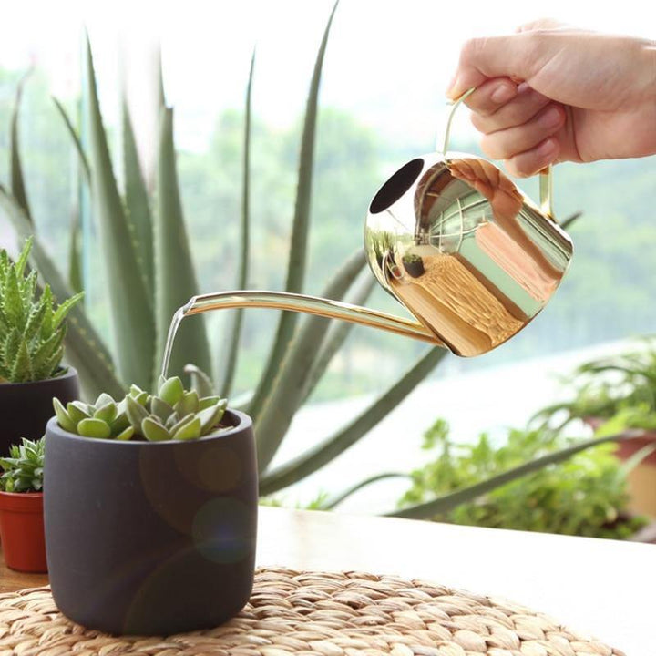 Lisslune | Stainless Steel Watering Can with Flexible Neck | Modern Design | Perfect Watering | Rustproof