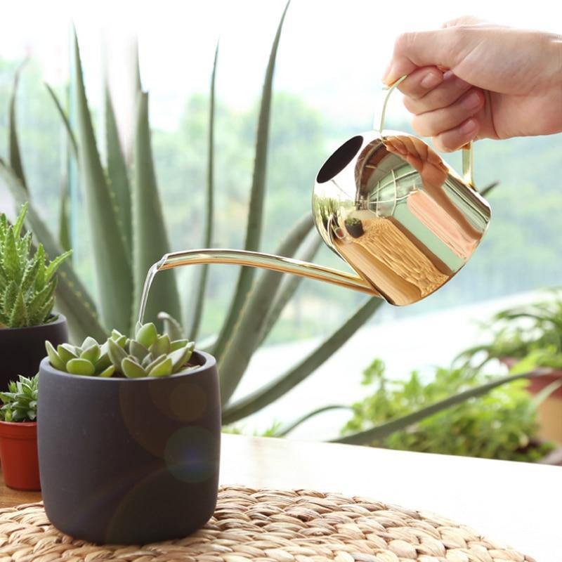 Lisslune | AquaGrace Stainless Steel Watering Can with Flexible Neck | Modern Design | Perfect Watering | Rustproof