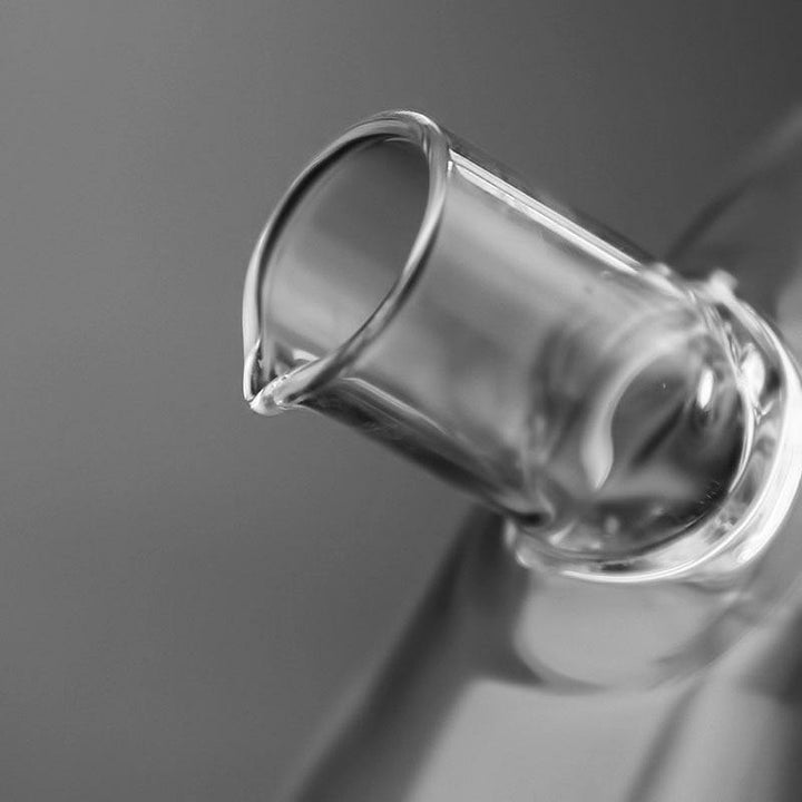 Lisslune | 2in1 Simple Oil Dispenser