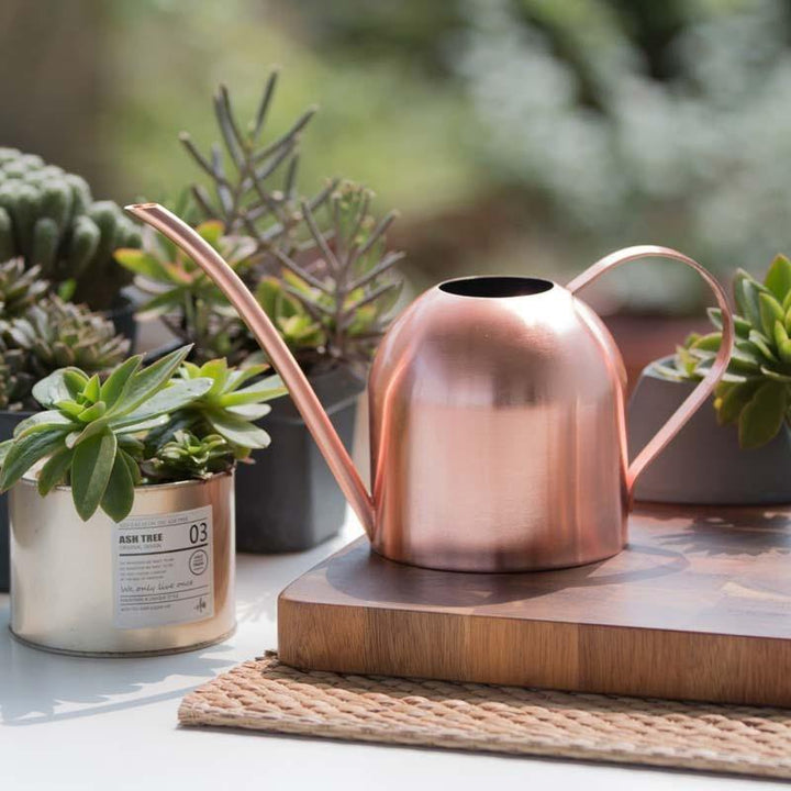 Lisslune | AquaGrace Stainless Steel Watering Can with Flexible Neck | Modern Design | Perfect Watering | Rustproof