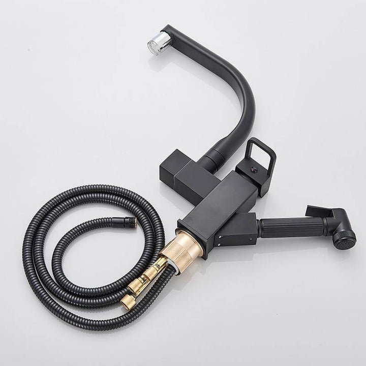 Lisslune | 2in1 Elegant 360 Rotating Sink Faucet