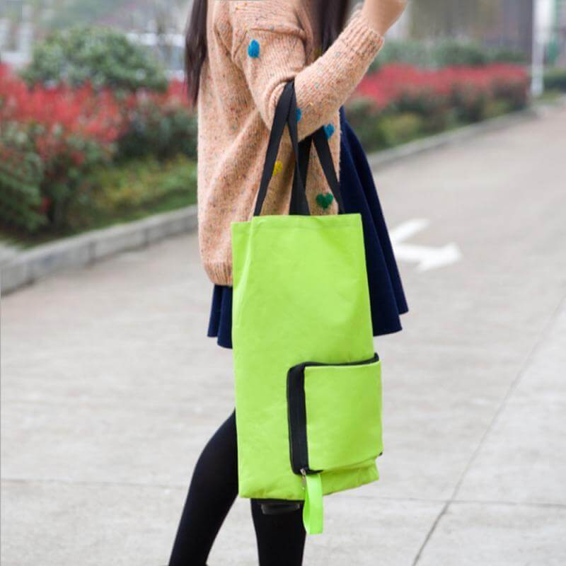 Lisslune | Foldable Reusable Earth Friendly Shopping Bag