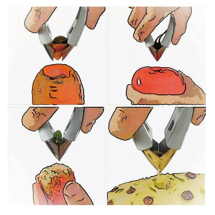 Lisslune | Fruit Stem Remover Tweezer Tool