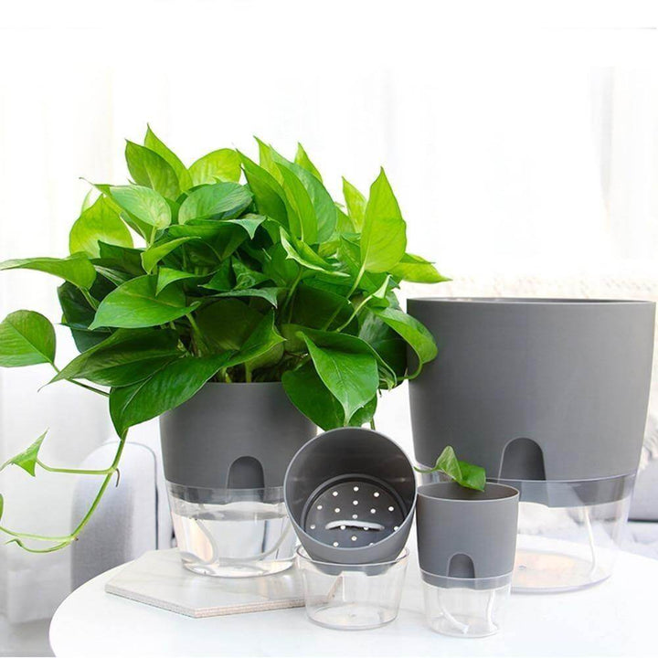Lisslune | Self-watering Plant Pot with Water Container