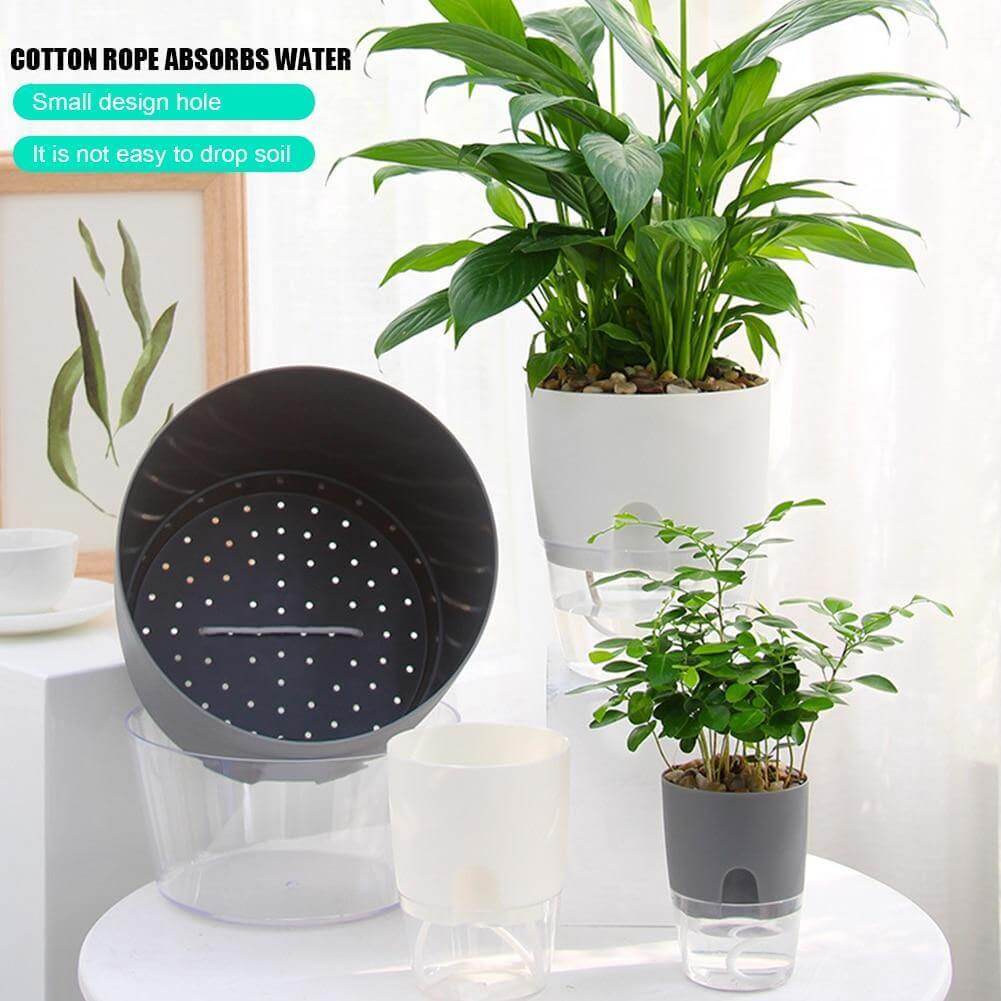 Lisslune | Self-watering Plant Pot with Water Container