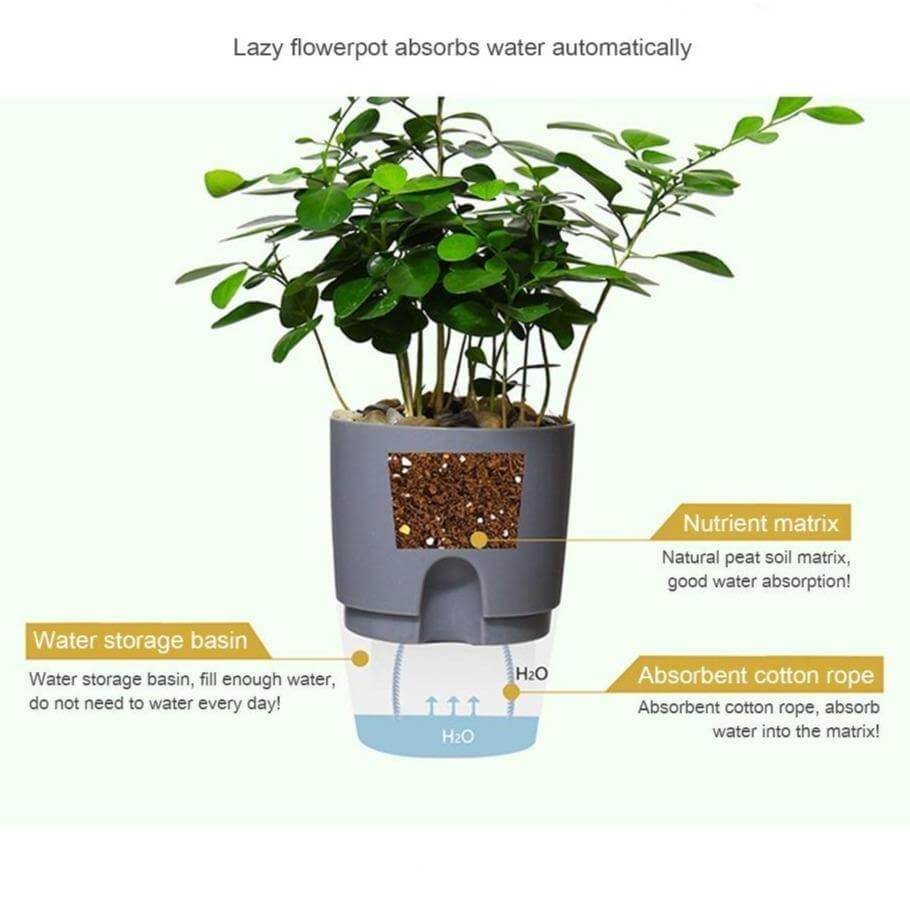 Lisslune | Self-watering Plant Pot with Water Container