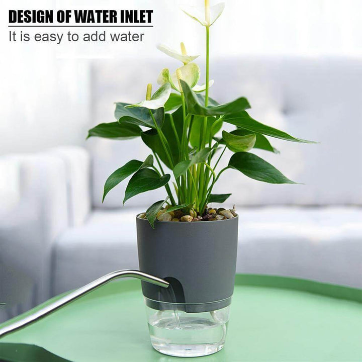 Lisslune | Self-watering Plant Pot with Water Container
