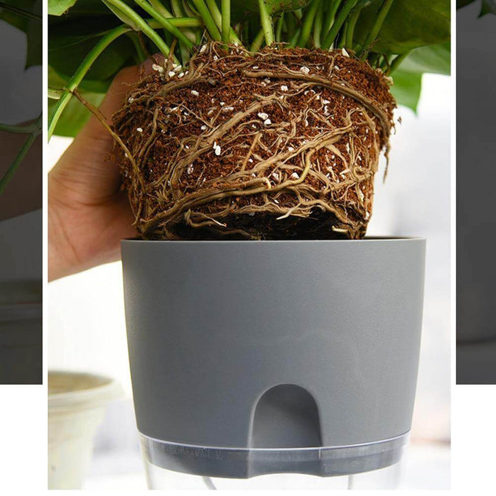Lisslune | Self-watering Plant Pot with Water Container