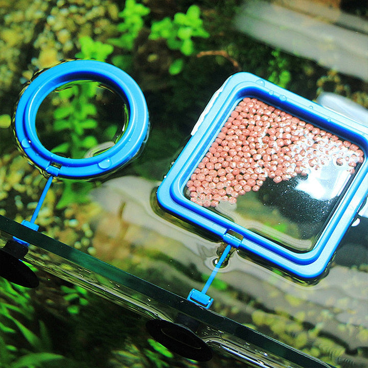 Lisslune | Creative Aquarium Floating Fish Feeder Tray