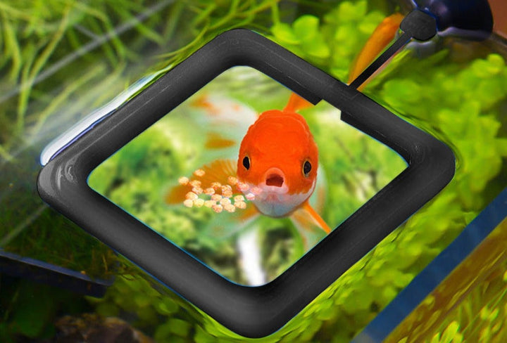 Lisslune | Creative Aquarium Floating Fish Feeder Tray