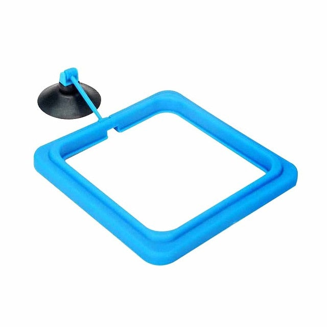 Lisslune | Creative Aquarium Floating Fish Feeder Tray