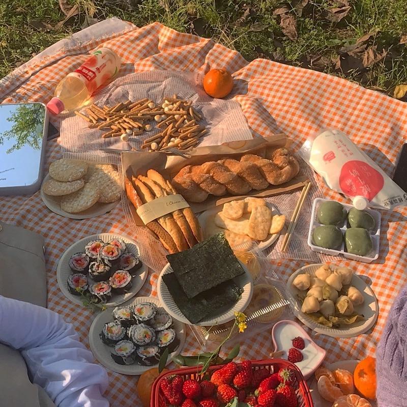 Lisslune | Clementine Gingham Picnic Blanket