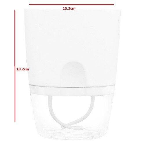 Lisslune | Self-watering Plant Pot with Water Container