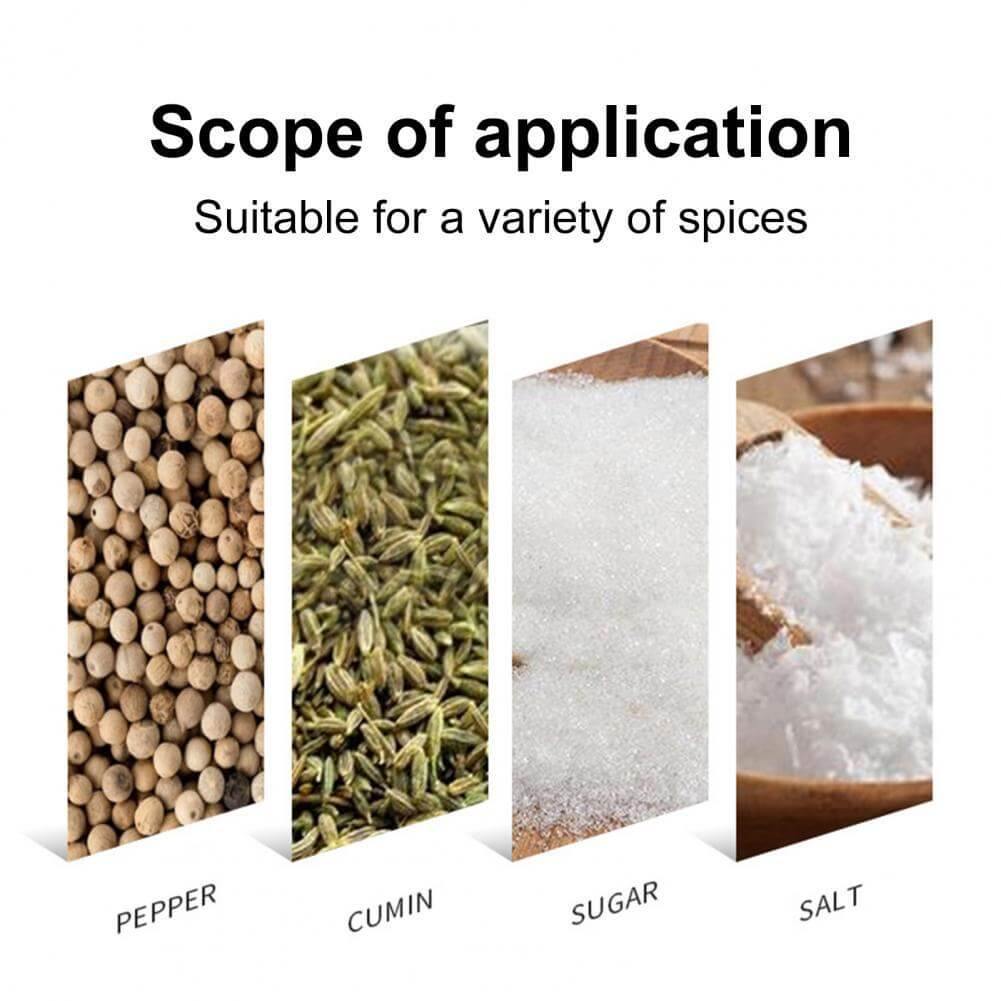 Lisslune | Smart Rotating Stainless Steel Glass Seasoning Set