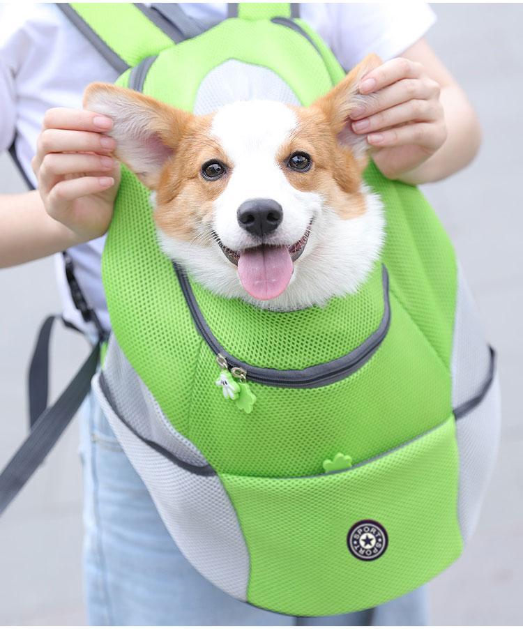 Lisslune | Pet Carrier Backpack | Comfortable, Secure & Perfect for Outdoor Adventures with Your Dog