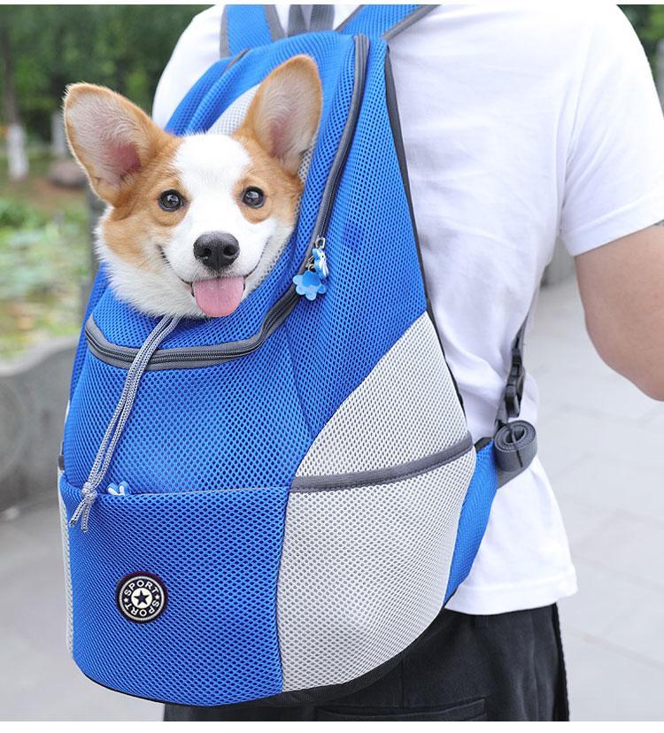 Lisslune | Pet Carrier Backpack | Comfortable, Secure & Perfect for Outdoor Adventures with Your Dog