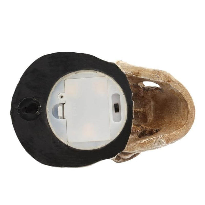 Lisslune | Skull Scary LED Night Light