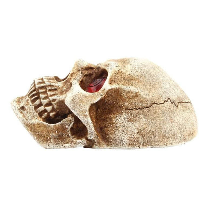 Lisslune | Skull Scary LED Night Light
