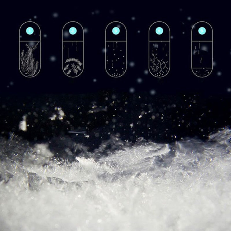 Lisslune | Wooden Weather Forecast Crystal Glass
