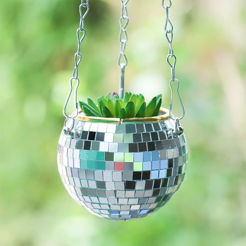 Lisslune | Disco Ball Plant