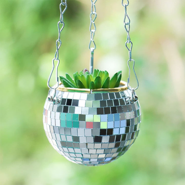 Lisslune | Disco Ball Plant