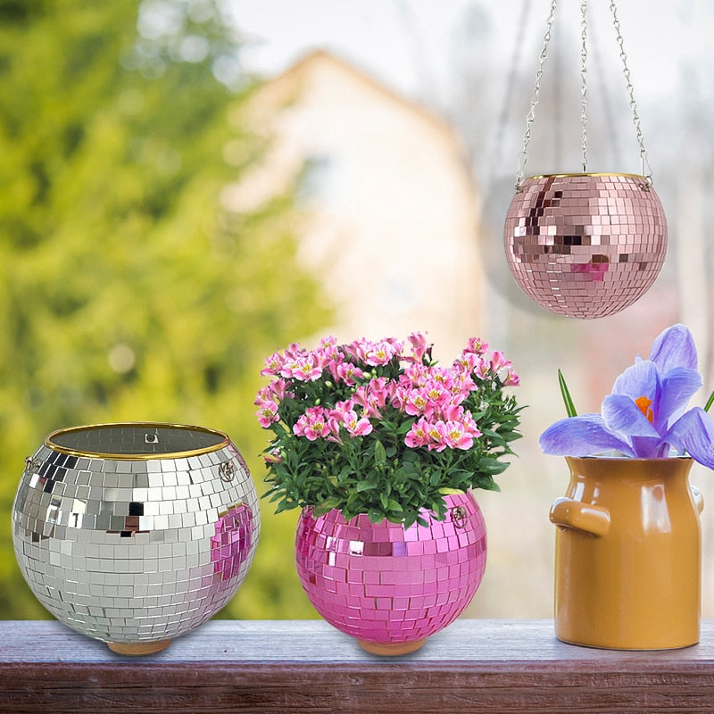 Lisslune | Disco Ball Plant
