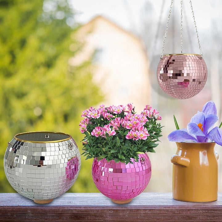 Lisslune | Disco Ball Plant