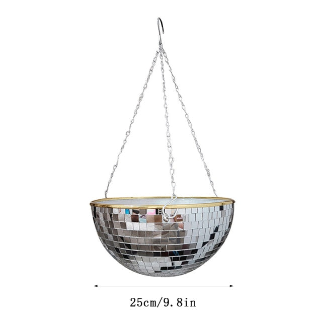 Lisslune | Disco Ball Plant