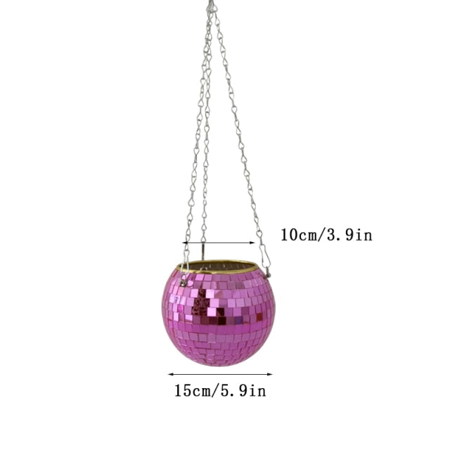 Lisslune | Disco Ball Plant