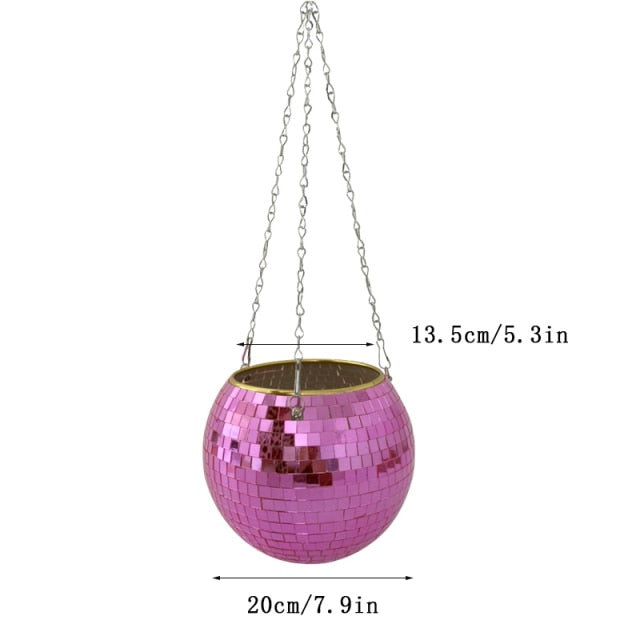 Lisslune | Disco Ball Plant