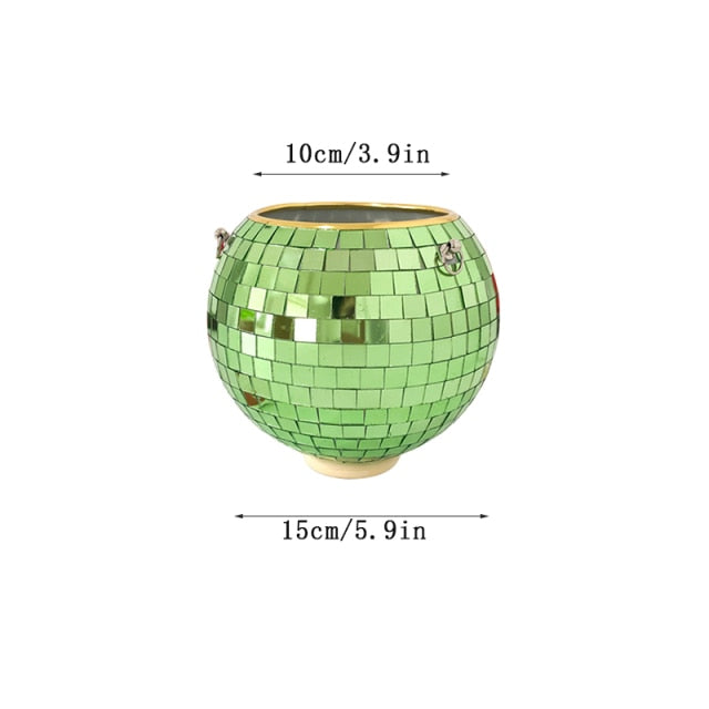 Lisslune | Disco Ball Plant