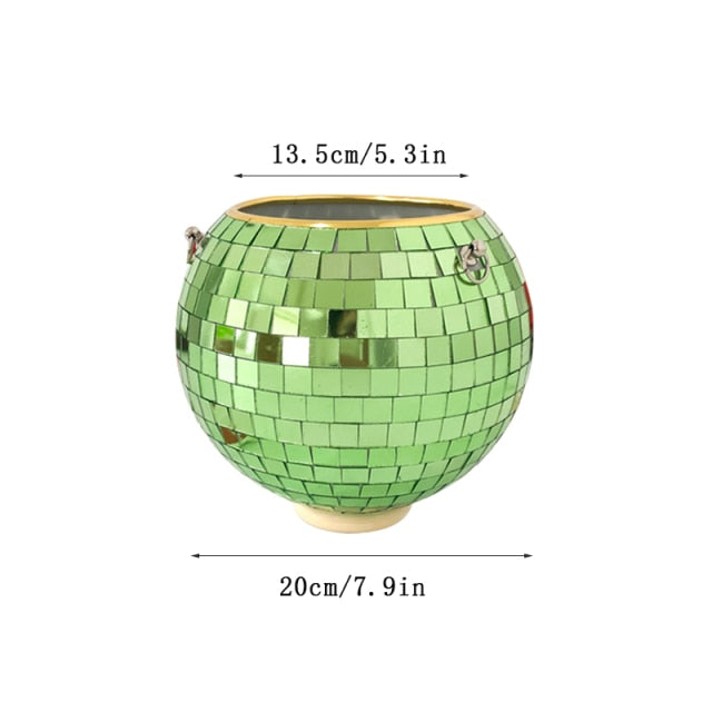 Lisslune | Disco Ball Plant