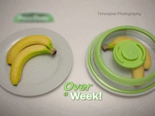 Lisslune | Instant Vacuum Easy Food Sealer Cover