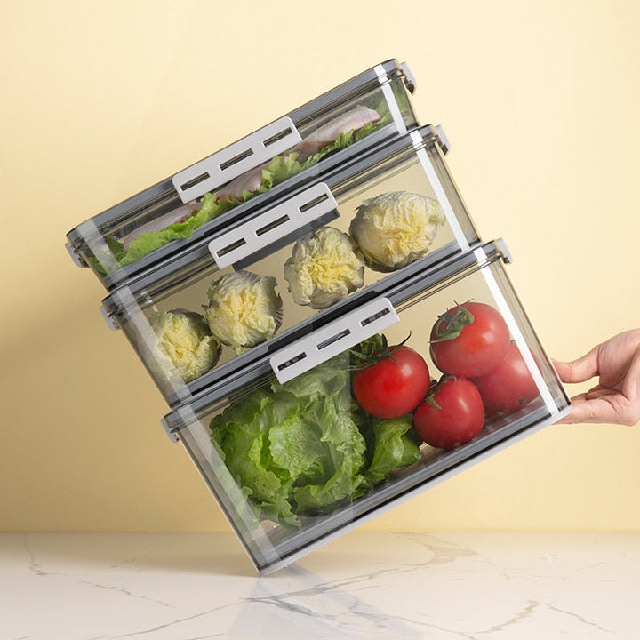 Lisslune | Transparent Refrigerator Thick Storage Organizer Box