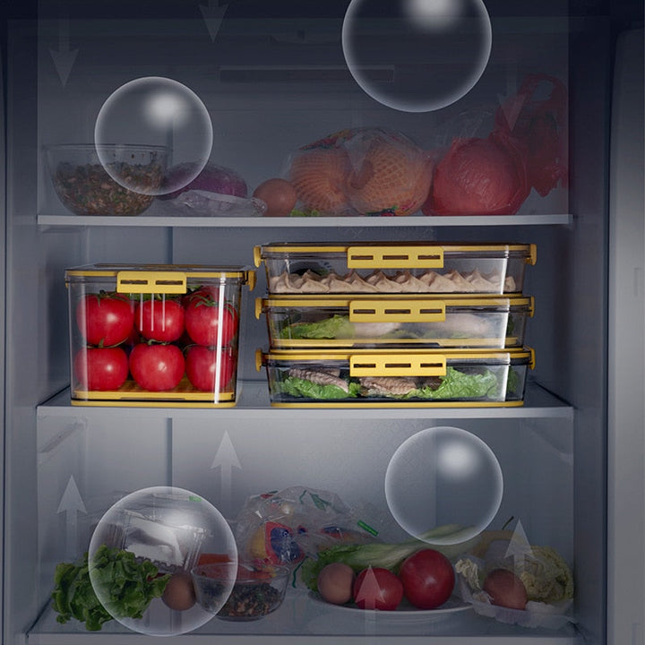 Lisslune | Transparent Refrigerator Thick Storage Organizer Box