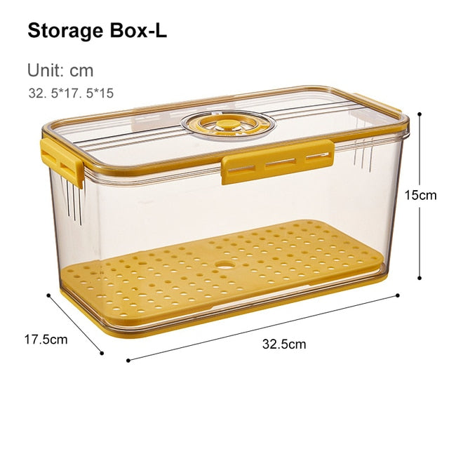 Lisslune | Transparent Refrigerator Thick Storage Organizer Box