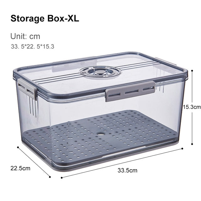 Lisslune | Transparent Refrigerator Thick Storage Organizer Box