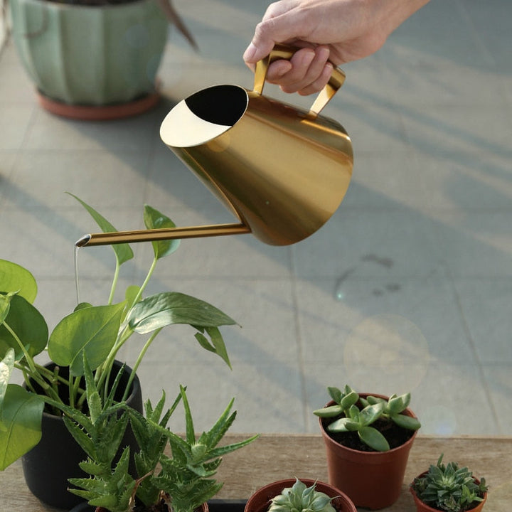 Lisslune | Watering can
