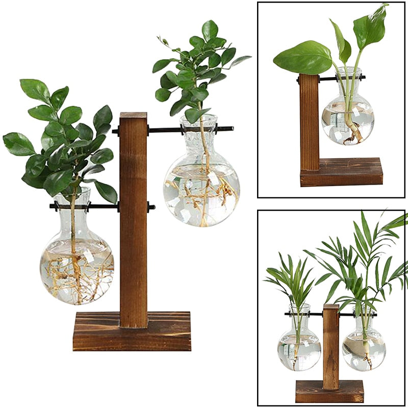 Lisslune | Terrarium Hydroponic Vintage Tabletop Vase